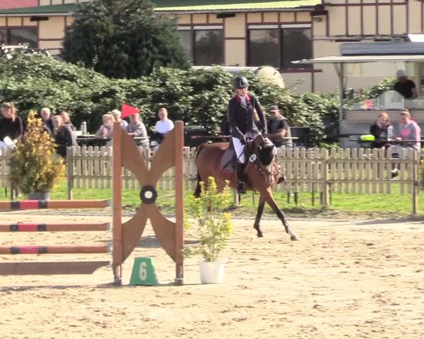 Reitturnier Schülp / Rendsburg 2020