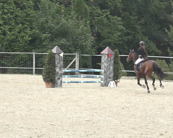 Reitturnier Winkel 2020