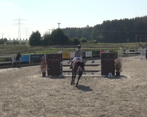 Reitturnier Sauldorf-Boll 2020