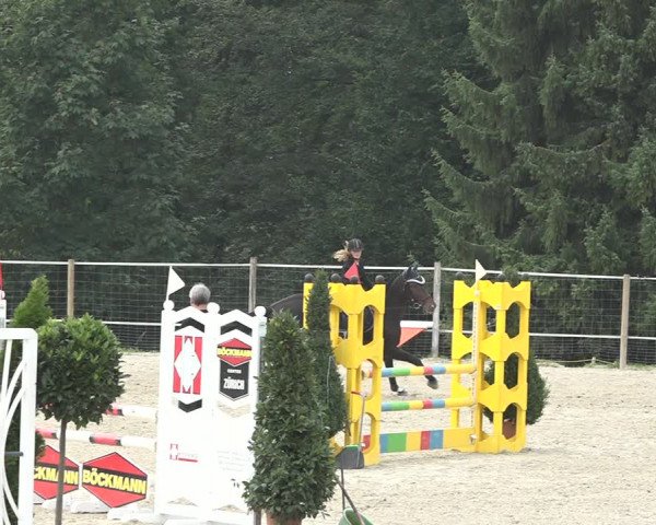 Reitturnier Winkel 2020