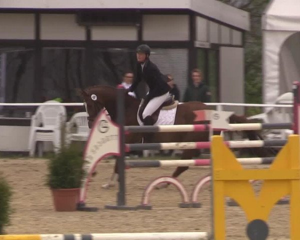 Dressurpferd Fabella 21 (Westfale, 2010, von For Contest)