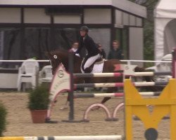 dressage horse Fabella 21 (Westphalian, 2010, from For Contest)
