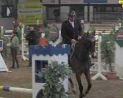 jumper Ferron 8 (KWPN (Royal Dutch Sporthorse), 2010, from Lexicon)