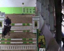 jumper Benja Luna (Pinto / Pony, 2008, from Mandela N)