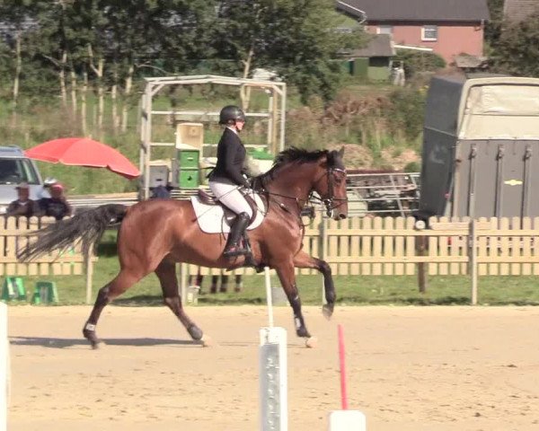 Reitturnier Schülp / Rendsburg 2020