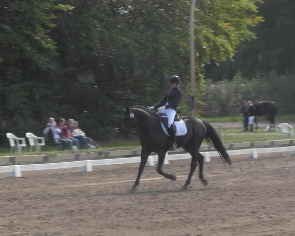 Reitturnier Dallgow 2020