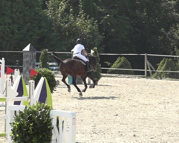 Reitturnier Winkel 2020