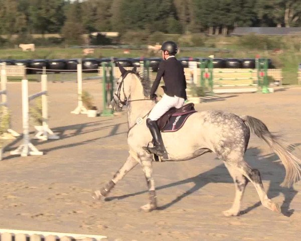 Reitturnier Schülp / Rendsburg 2020