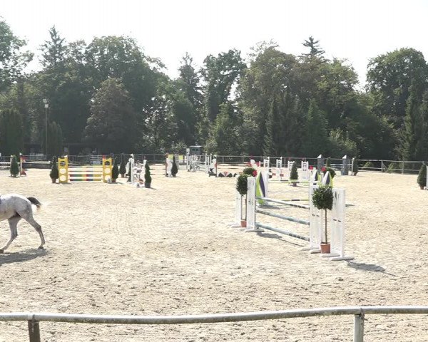 Reitturnier Winkel 2020