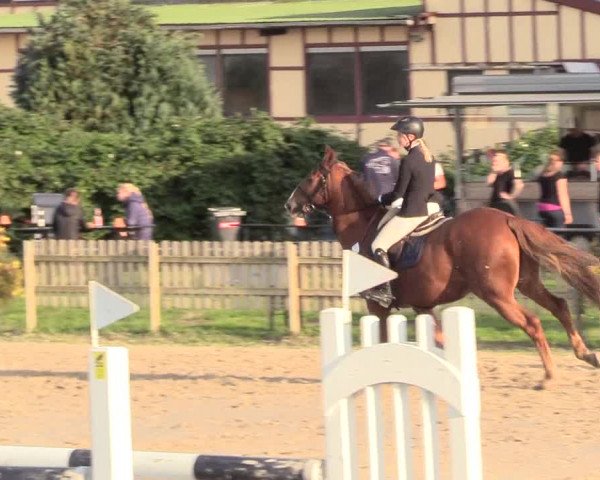 Reitturnier Schülp / Rendsburg 2020