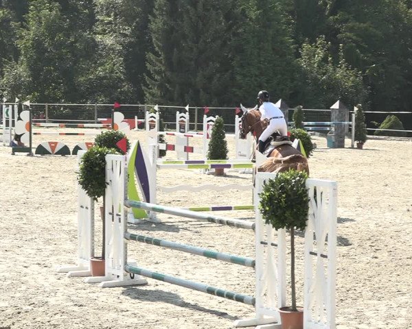 Reitturnier Winkel 2020