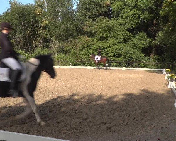 Reitturnier Marienheide-Kempershöhe 2020