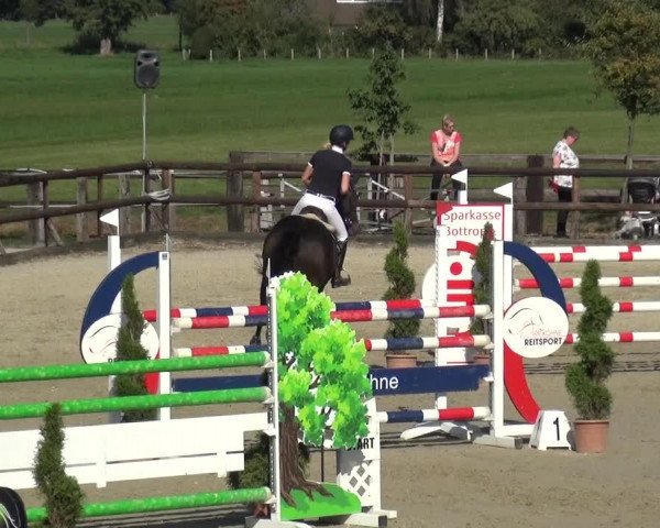 Reitturnier Kirchhellen/Stall Dieckmann 2020