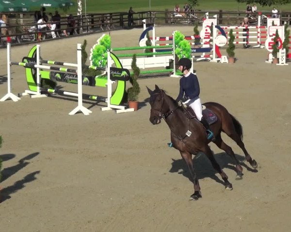Reitturnier Kirchhellen/Stall Dieckmann 2020