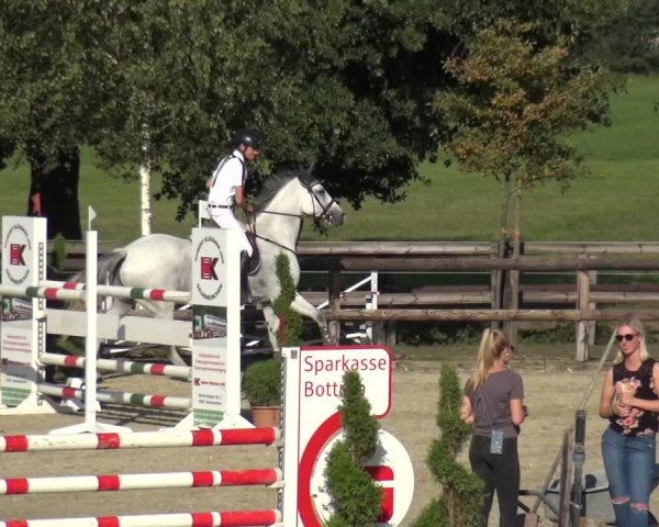 Reitturnier Kirchhellen/Stall Dieckmann 2020