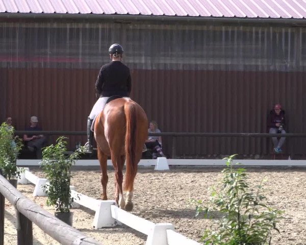 Reitturnier Marienheide-Kempershöhe 2020