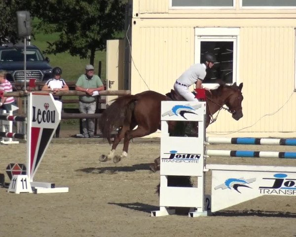Reitturnier Kirchhellen/Stall Dieckmann 2020