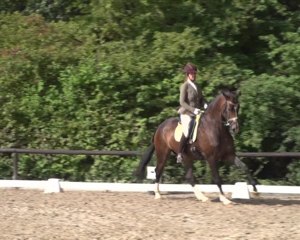 Reitturnier Marienheide-Kempershöhe 2020