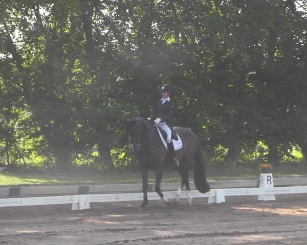 Reitturnier Dallgow 2020