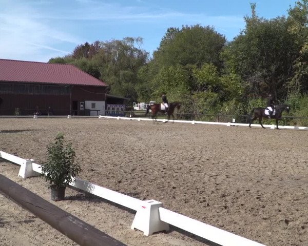 Reitturnier Marienheide-Kempershöhe 2020