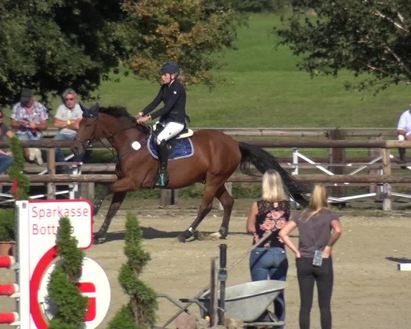 Reitturnier Kirchhellen/Stall Dieckmann 2020