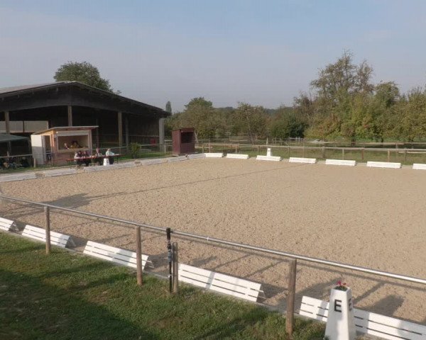 Reitturnier Köngen 2020