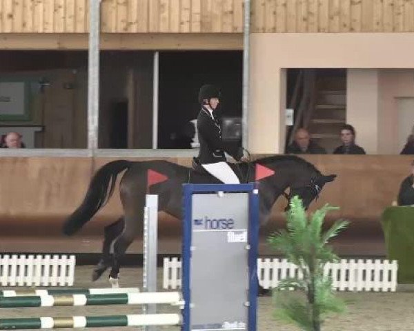 jumper Lucky little lope (Württemberger, 2009, from Laurel)