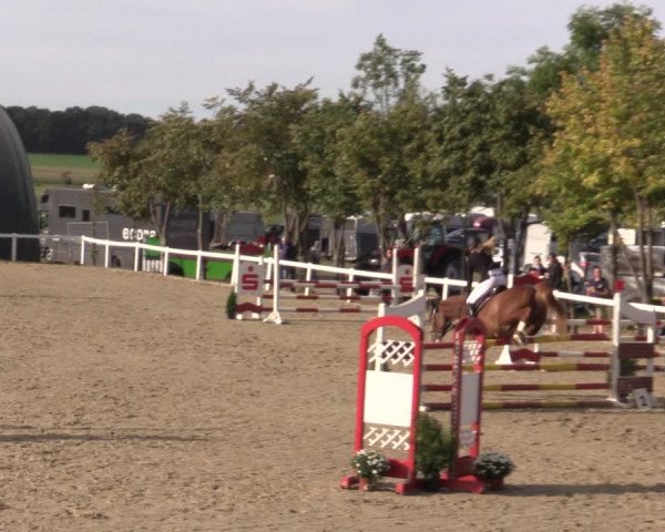 Reitturnier Bad Schmiedeberg 2020