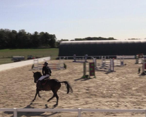 Reitturnier Bad Schmiedeberg 2020