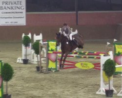 Springpferd Frozen Diamond (Irish Sport Horse, 2004)
