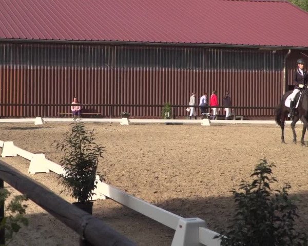 Reitturnier Marienheide-Kempershöhe 2020