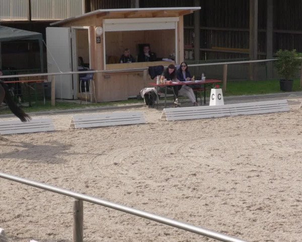 Reitturnier Köngen 2020