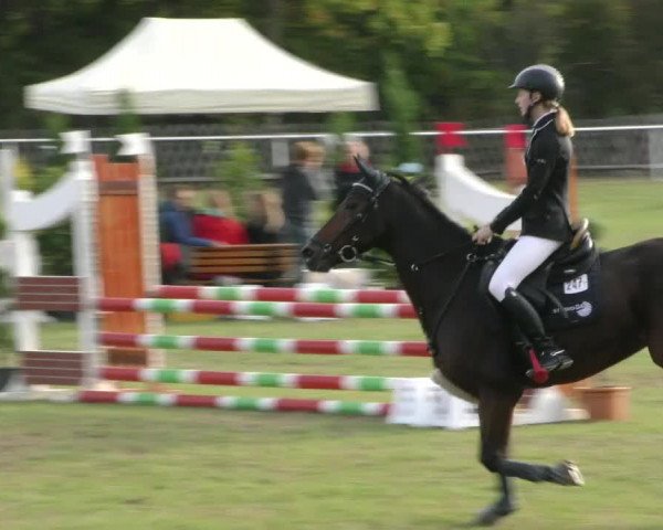 Reitturnier Wernigerode 2020