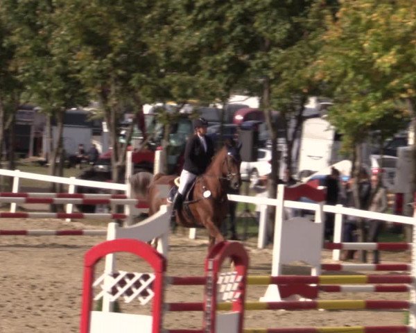 Reitturnier Bad Schmiedeberg 2020