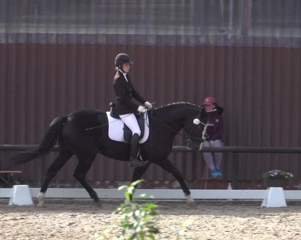 Reitturnier Marienheide-Kempershöhe 2020