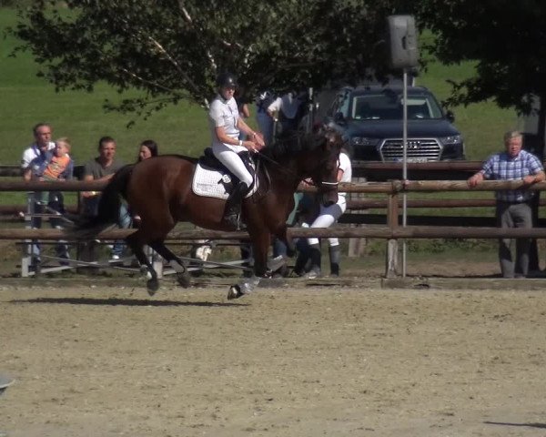 Reitturnier Kirchhellen/Stall Dieckmann 2020
