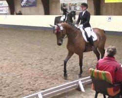 dressage horse Bonita 309 (unknown, 2005)