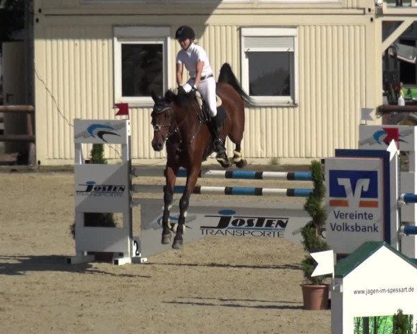 Reitturnier Kirchhellen/Stall Dieckmann 2020