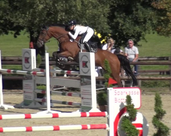 Reitturnier Kirchhellen/Stall Dieckmann 2020