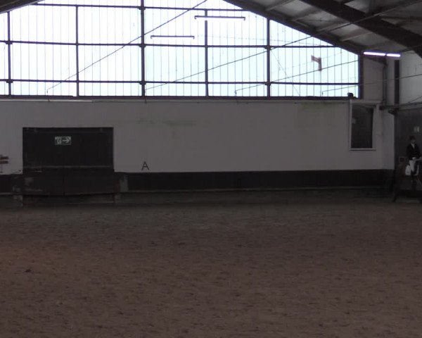 Reitturnier Albersloh 2020