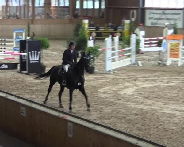 jumper Dior Ella Mr (KWPN (Royal Dutch Sporthorse), 2008, from Douglas)