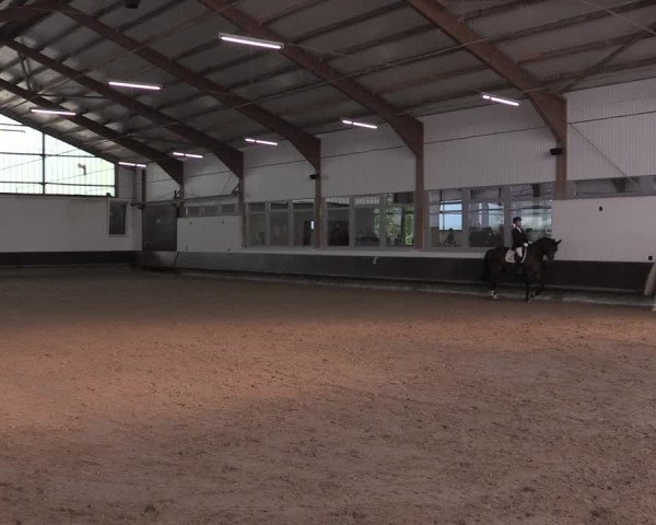 Reitturnier Albersloh 2020