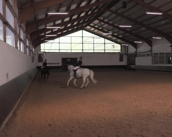 Reitturnier Albersloh 2020
