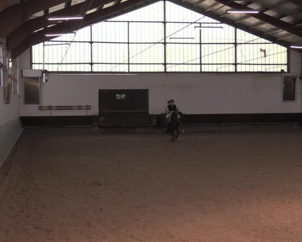 Reitturnier Albersloh 2020