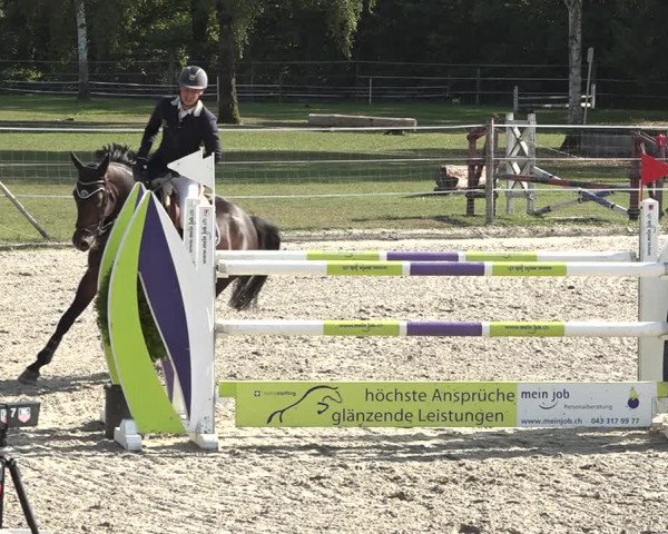 Reitturnier Winkel 2020