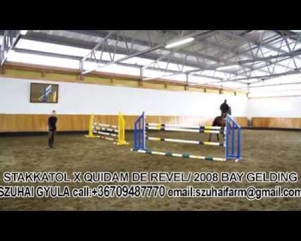 jumper Shaquidam (Oldenburg, 2008, from Stakkatol)