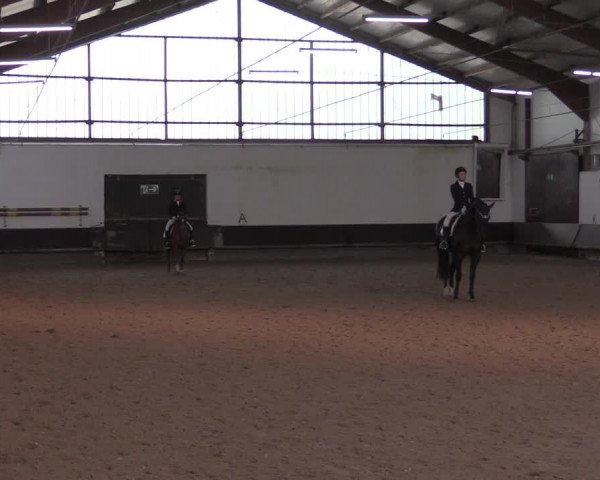 Reitturnier Albersloh 2020