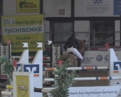 jumper Chesster (KWPN (Royal Dutch Sporthorse), 2003, from Nassau)