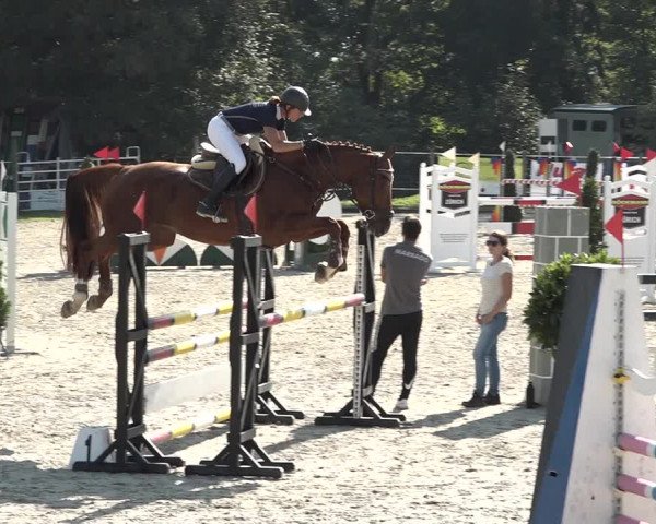 Reitturnier Winkel 2020
