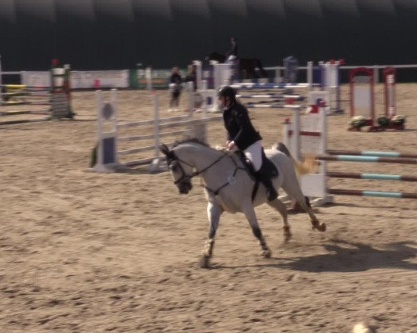 Reitturnier Bad Schmiedeberg 2020
